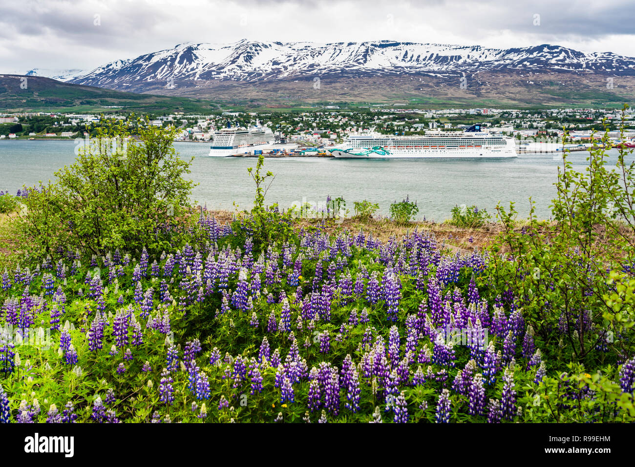 Una vista de los barcos crucero en puerto con flores cerca de Akureyri, Islandia, Europa. Foto de stock