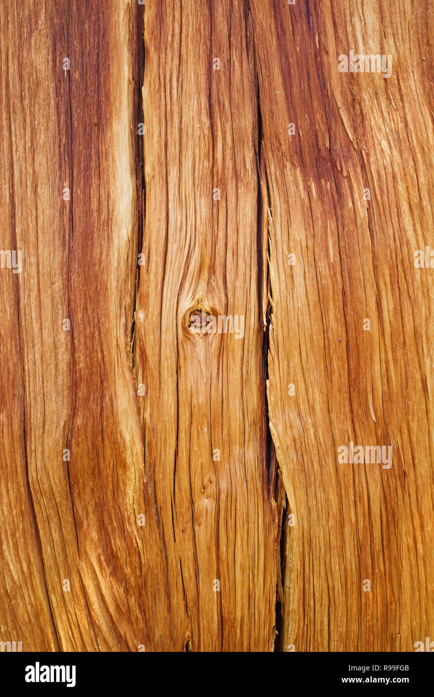 Expuestos marrón rojizo de fondo de madera de pino desde gran altura tronco de árbol Foto de stock