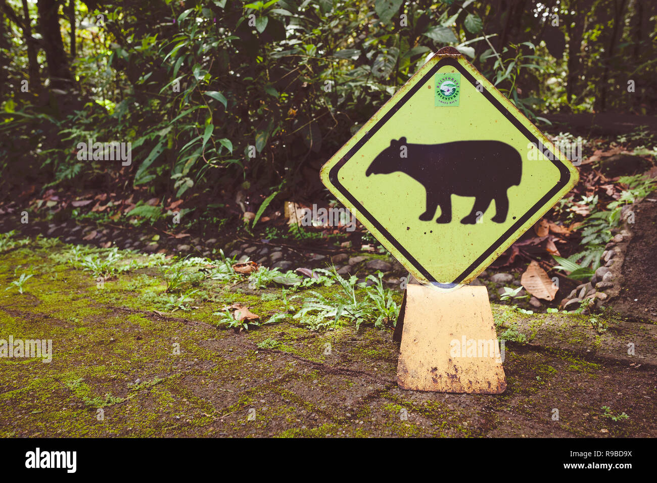 Tapir (Tapirus bairdii) Señal de advertencia. El Parque Nacional Braulio Carrillo. La provincia de Heredia. Costa Rica. Foto de stock