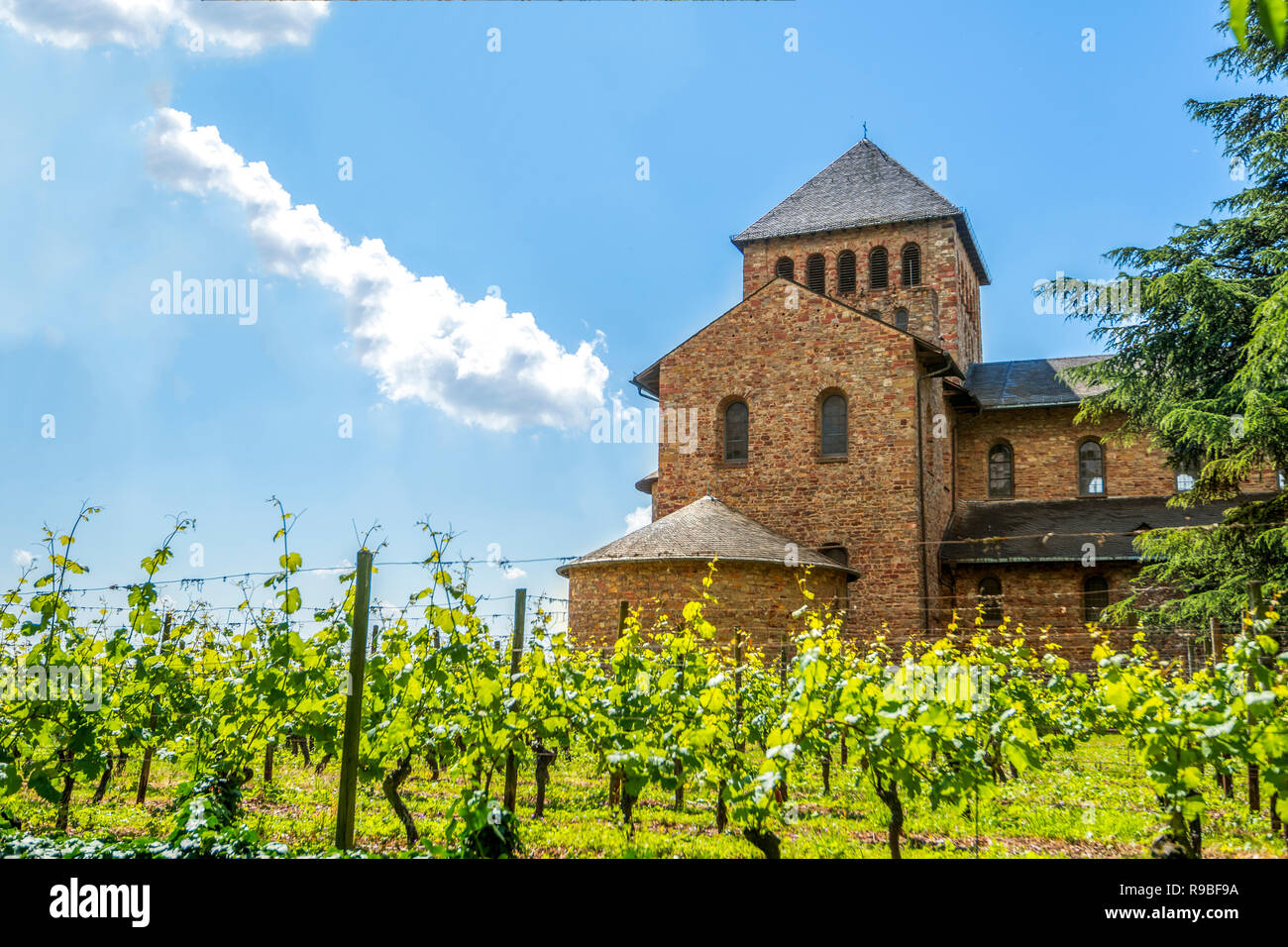 Castillo Johannisberg y viñedos, Rüdesheim, Alemania Foto de stock