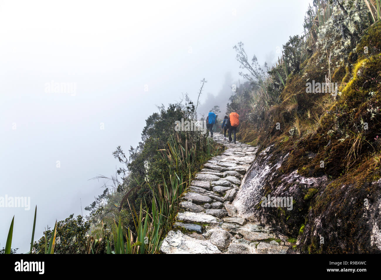 Gente caminando por el camino Inca a Machu Picchu en clima foggy, Valle Sagrado, Perú Foto de stock