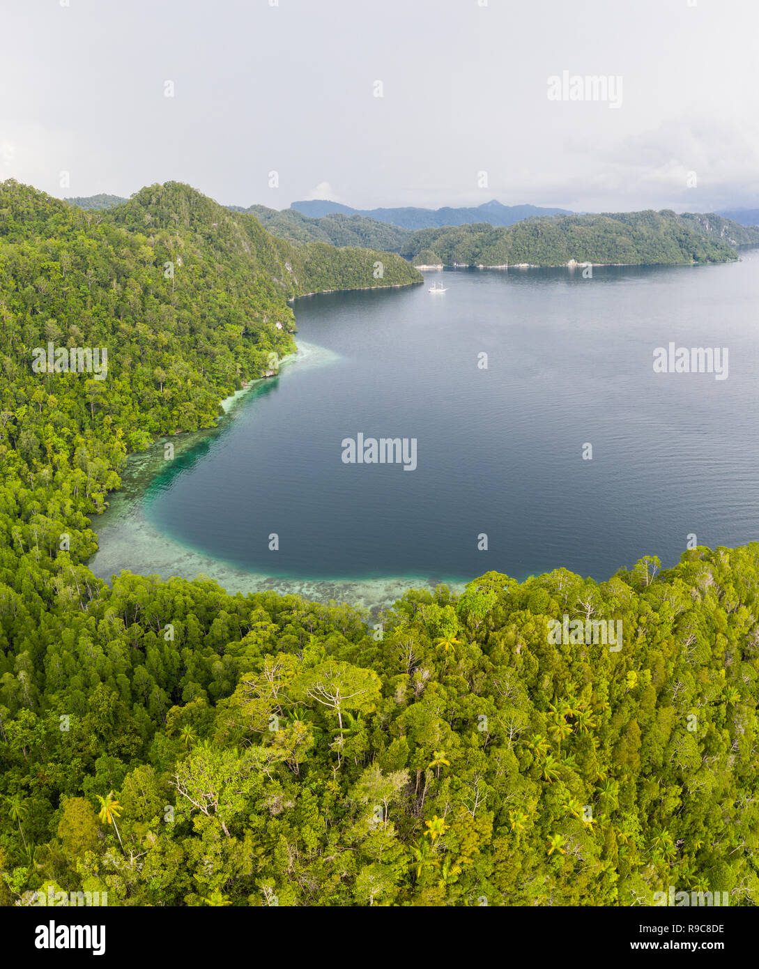 Islas de piedra caliza en Raja Ampat, Indonesia, están rodeadas de arrecifes de coral saludables. Esta región es conocida como biodiversidad en el corazón del Triángulo de Coral. Foto de stock