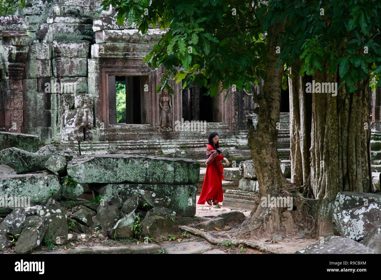 Una mujer en solitario viajero explorar antiguas ruinas en la jungla de  Camboya Fotografía de stock - Alamy