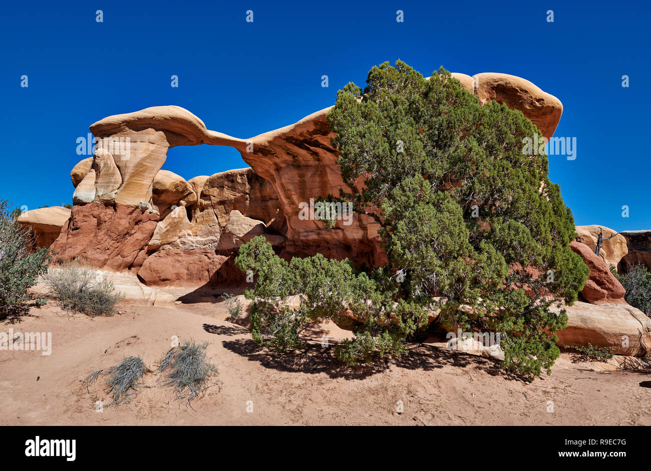 Arco de metates en Devils Garden, Grand Staircase-Escalante National Monument, Utah, EE.UU., América del Norte Metate Arch en el Devils Garden, la gran escalera- Foto de stock