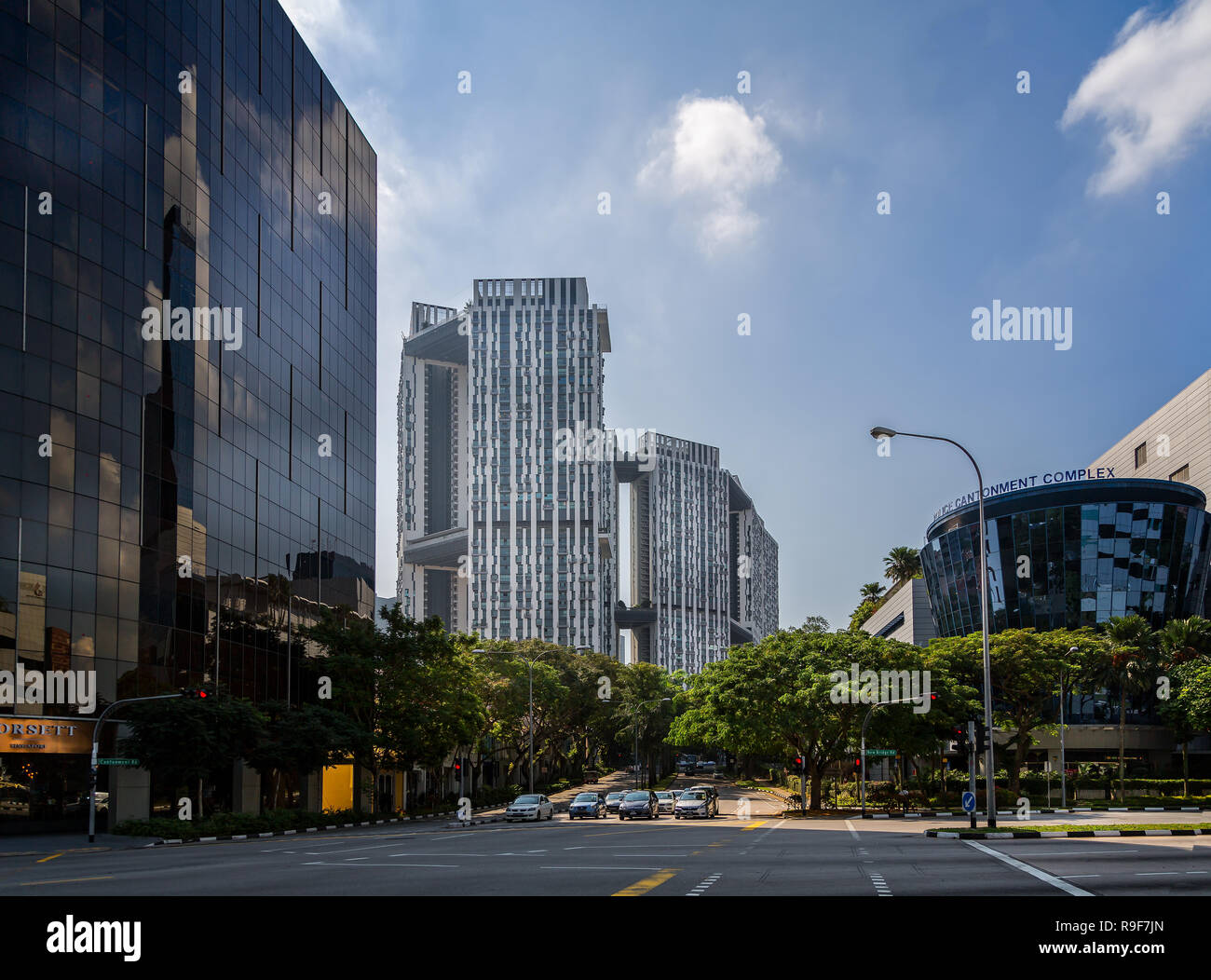 Vista de la Pinnacle Duxton complejo de viviendas de gran altura, en un edificio emblemático, en el acantonamiento Road, Singapore adoptada el 27 de octubre de 2013 Foto de stock
