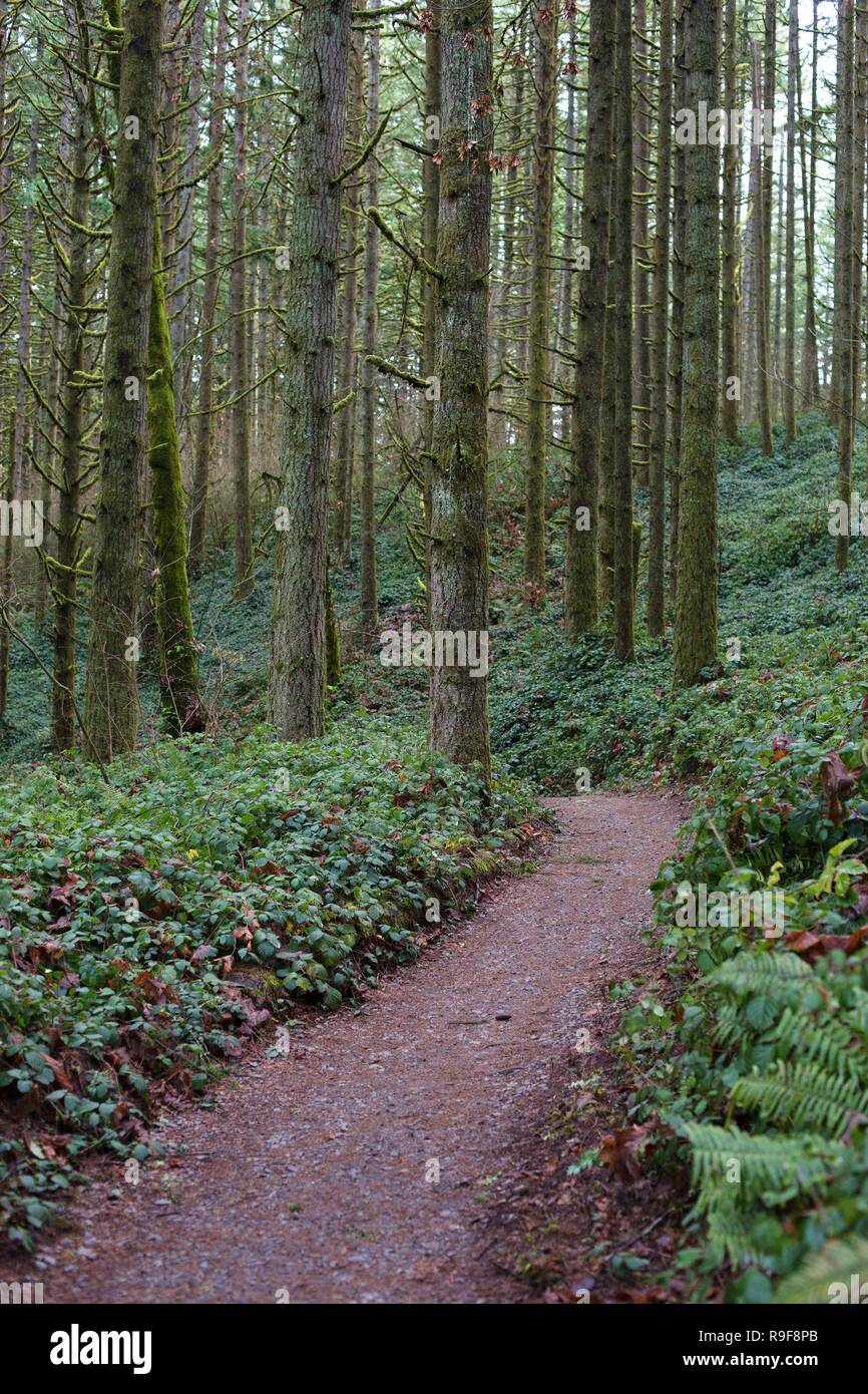 Una sección de la Ridgeline Trail System en Eugene, Oregon, USA 