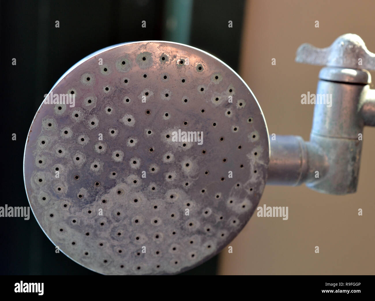 Alcachofa de la ducha exterior fotografías e imágenes de alta resolución -  Alamy