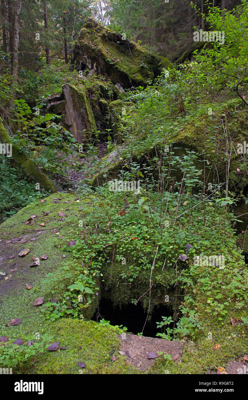 Von Führerhauptquartier Wolfsschanze, Adolf Hitler bei Rastenburg, Masuren, Polen | restos de Wolf's Lair (alemán: Wolfsschanze), del Führer headquarte Foto de stock