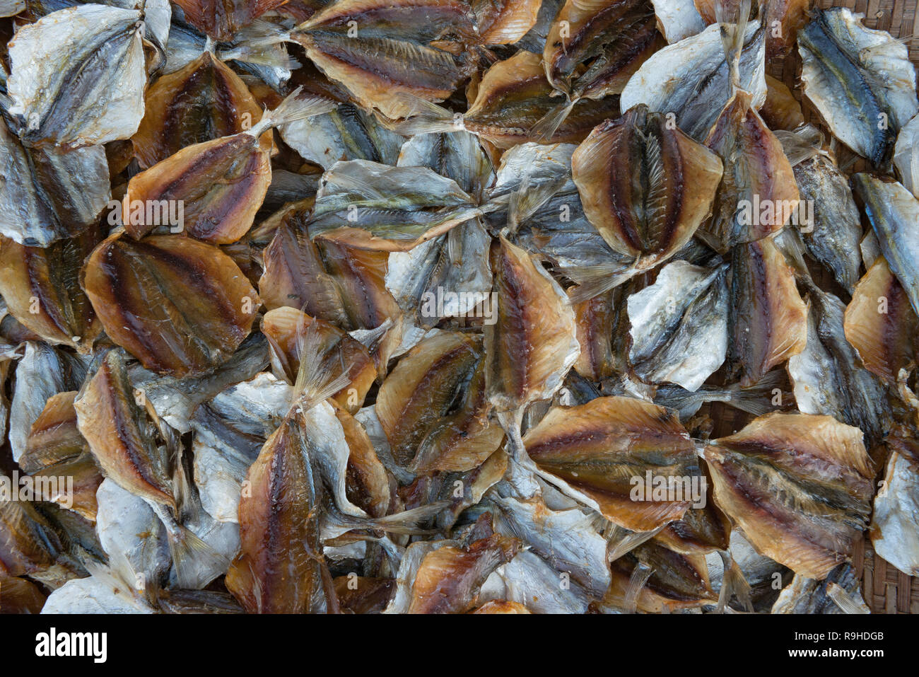 Pequeños peces secos para la venta en el sur de Tailandia, bueno para freír. Foto de stock