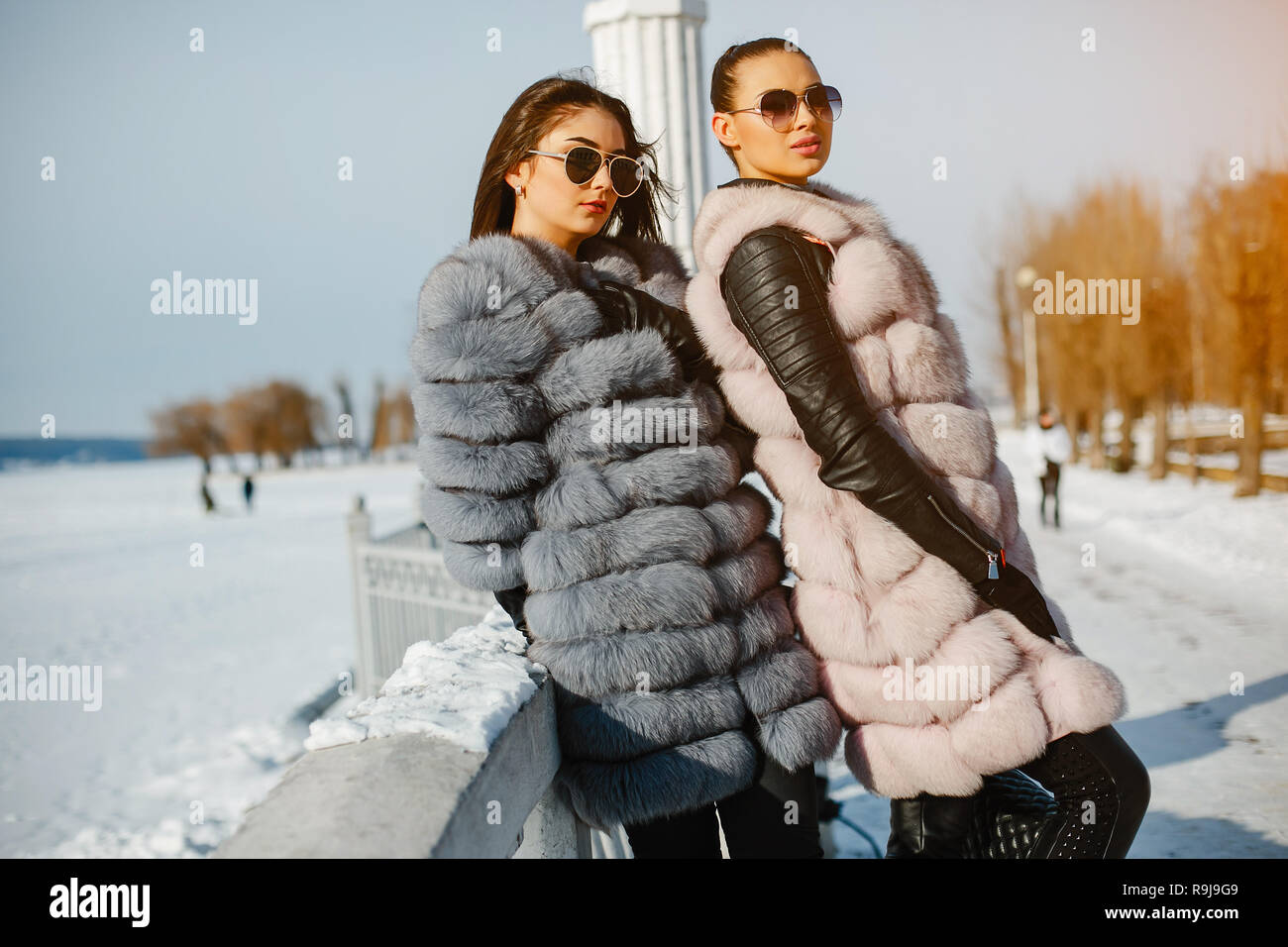 Dos elegantes y magníficas chicas en elegantes abrigos de piel caminando en  el Winter Park Fotografía de stock - Alamy