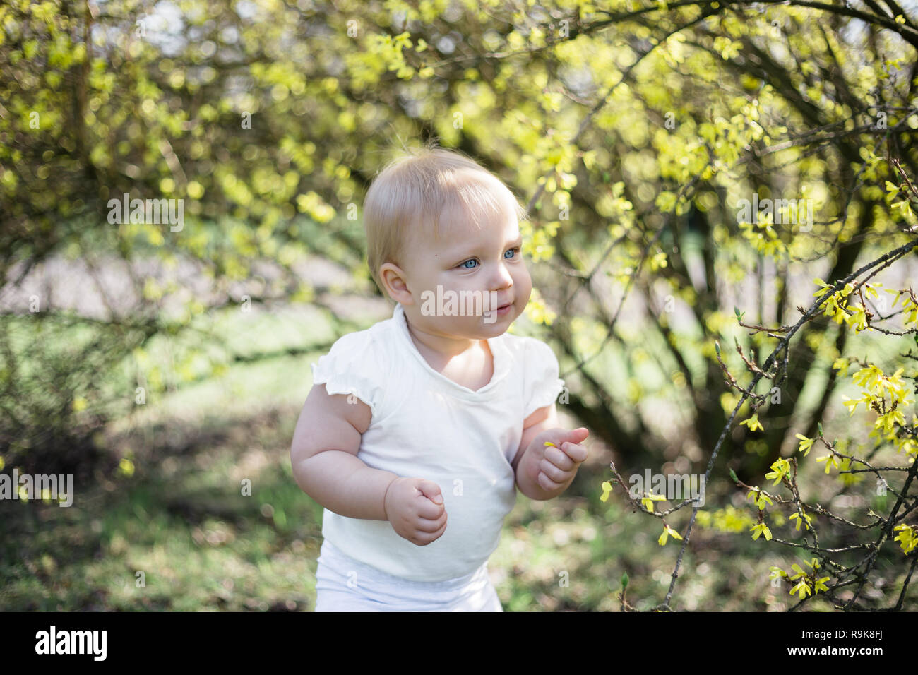 Un año de edad jugando solos en blooming forsythia en un parque Foto de stock