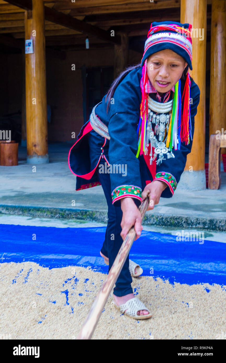 Una mujer de la minoría dao rojo en una aldea cerca de Ha Giang en Vietnam Foto de stock