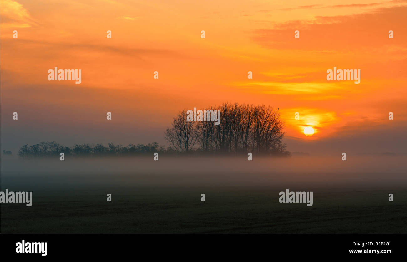 Amanecer paisaje paisaje de Hortobagy, Parque Nacional Hortobagy Puszta, Hungría, Europa fauna, Sitio del Patrimonio Mundial de la UNESCO Foto de stock