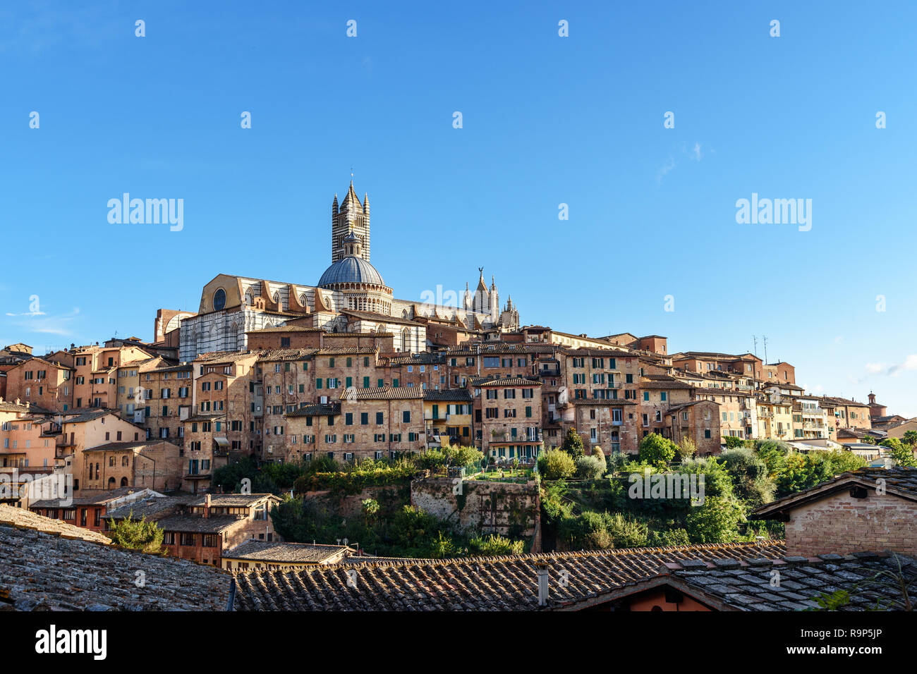 Vista sobre la ciudad de Siena, con cúpula y el campanario de la catedral de Siena o Duomo di Siena de la Basilica di San Domenico. Italia Foto de stock