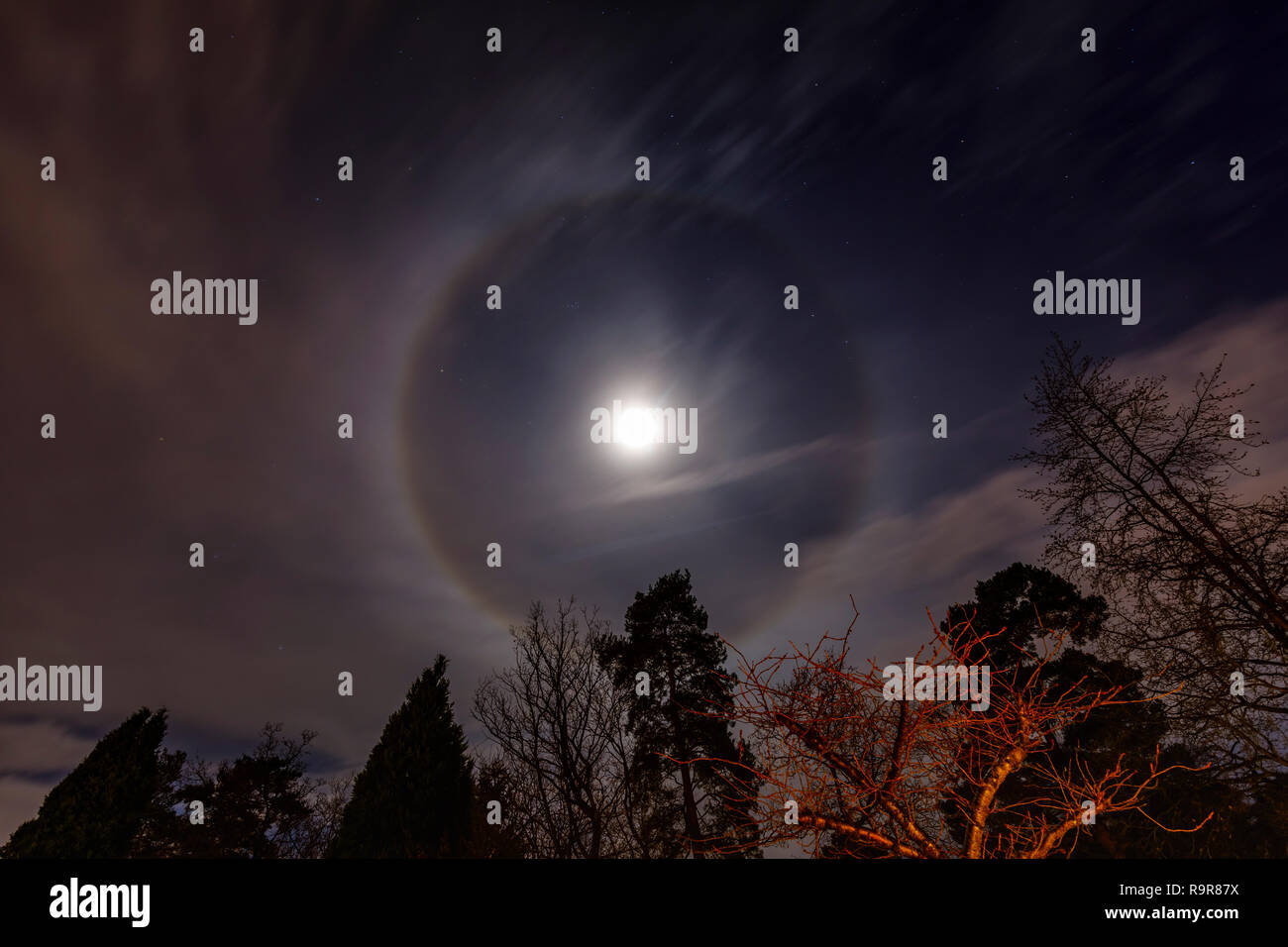 Corona lunar circular alrededor de la Luna en cuarto menguante con ... Corona lunar circular alrededor de la Luna en cuarto menguante con ...