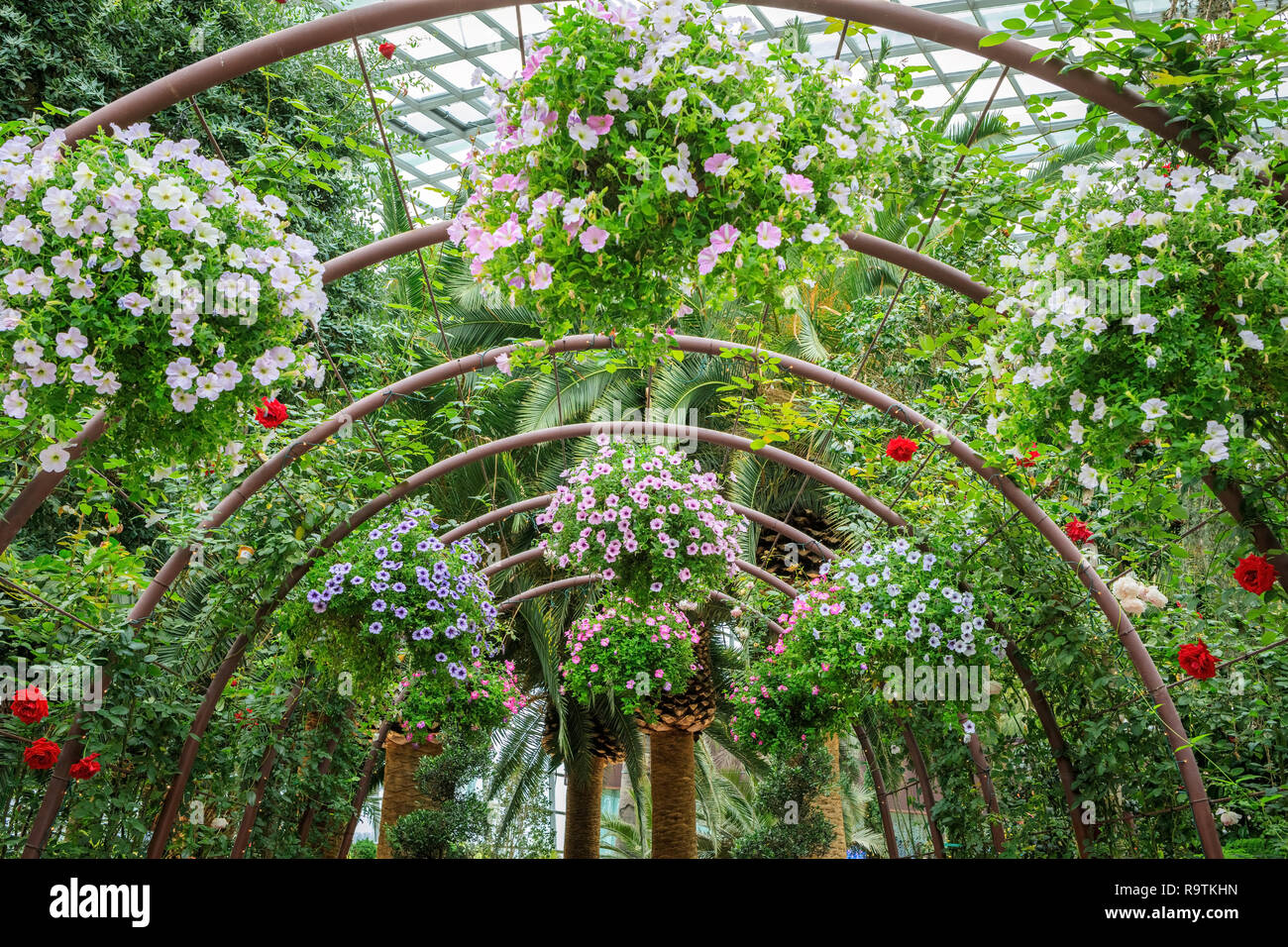 Jardín de flores sobre arcos en Singapore's Garden por la bahía Foto de stock