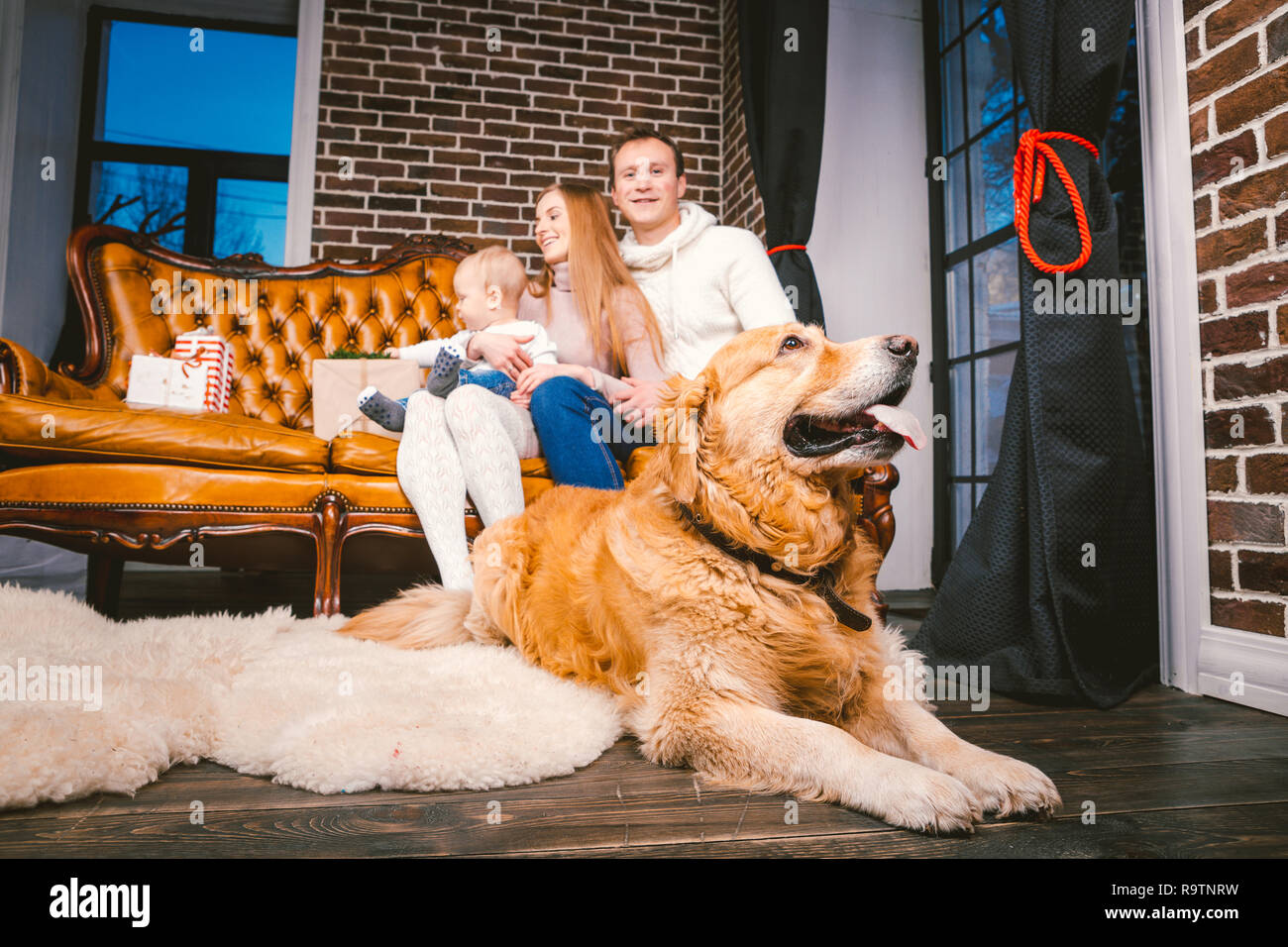 Mama Papa Nino Nina Perro Fotos E Imagenes De Stock Alamy