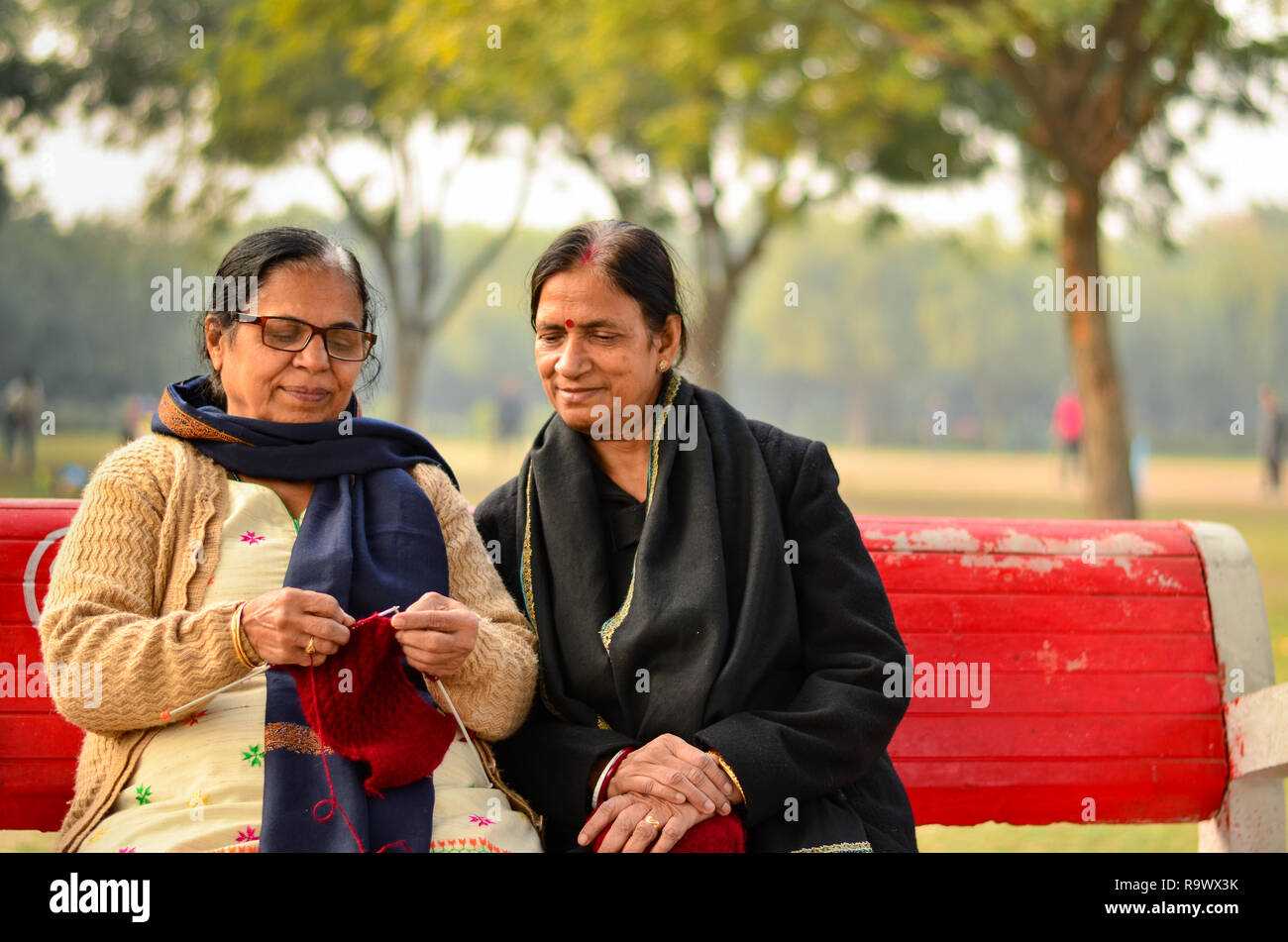 Dos altos las mujeres indias discutiendo cómo tejer suéteres y sonriente en un parque en los inviernos en Delhi, India Foto de stock
