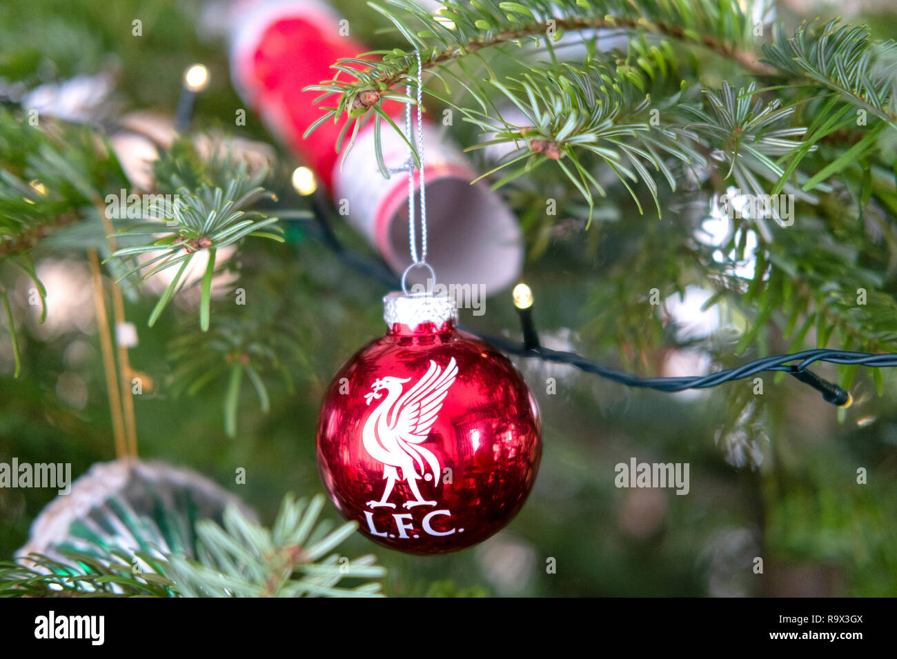 Árbol de navidad rojo decorado con adornos de Liverpool Fútbol club (LFC)  el logotipo en estrecha en un abeto Arbol de Navidad con luces y cracker  Fotografía de stock - Alamy