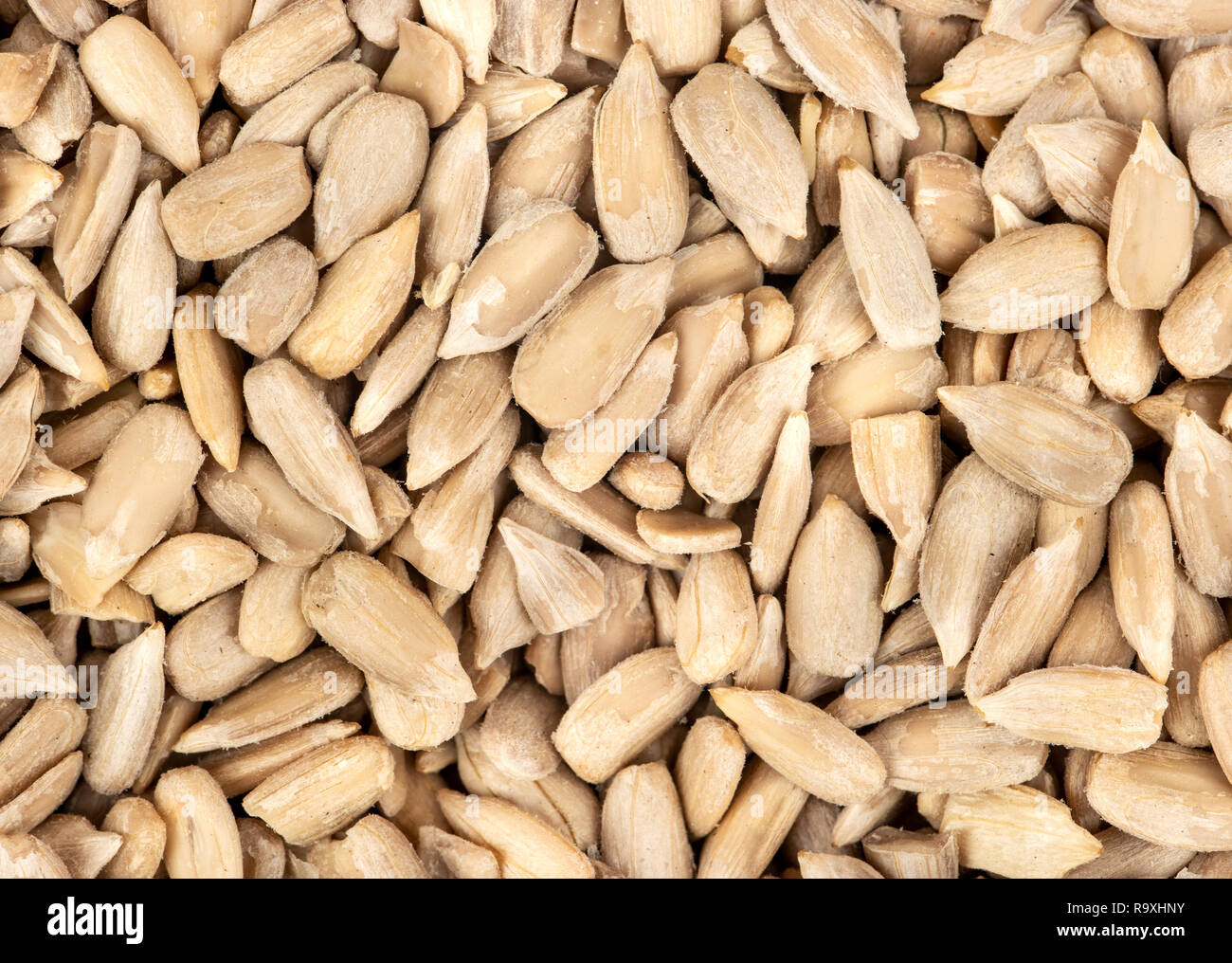 Antecedentes A partir de semillas de girasol sin cáscara cerrar Fotografía  de stock - Alamy