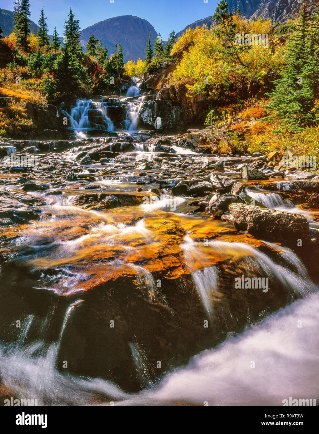 Mill Creek Falls, Hoover, Inyo Wilderness National Forest, la parte oriental de Sierra, Sierra Nevada, California Foto de stock