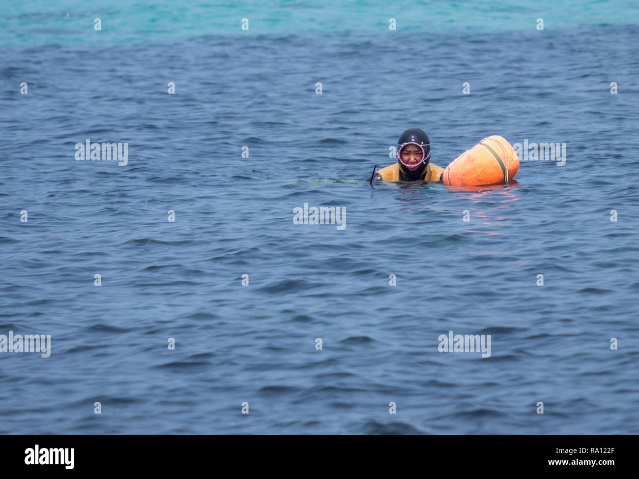 Señora buceo de Jeju en acción. Las mujeres subiendo por el aire, antes de  dirigirse de vuelta en virtud de nuevo Fotografía de stock - Alamy