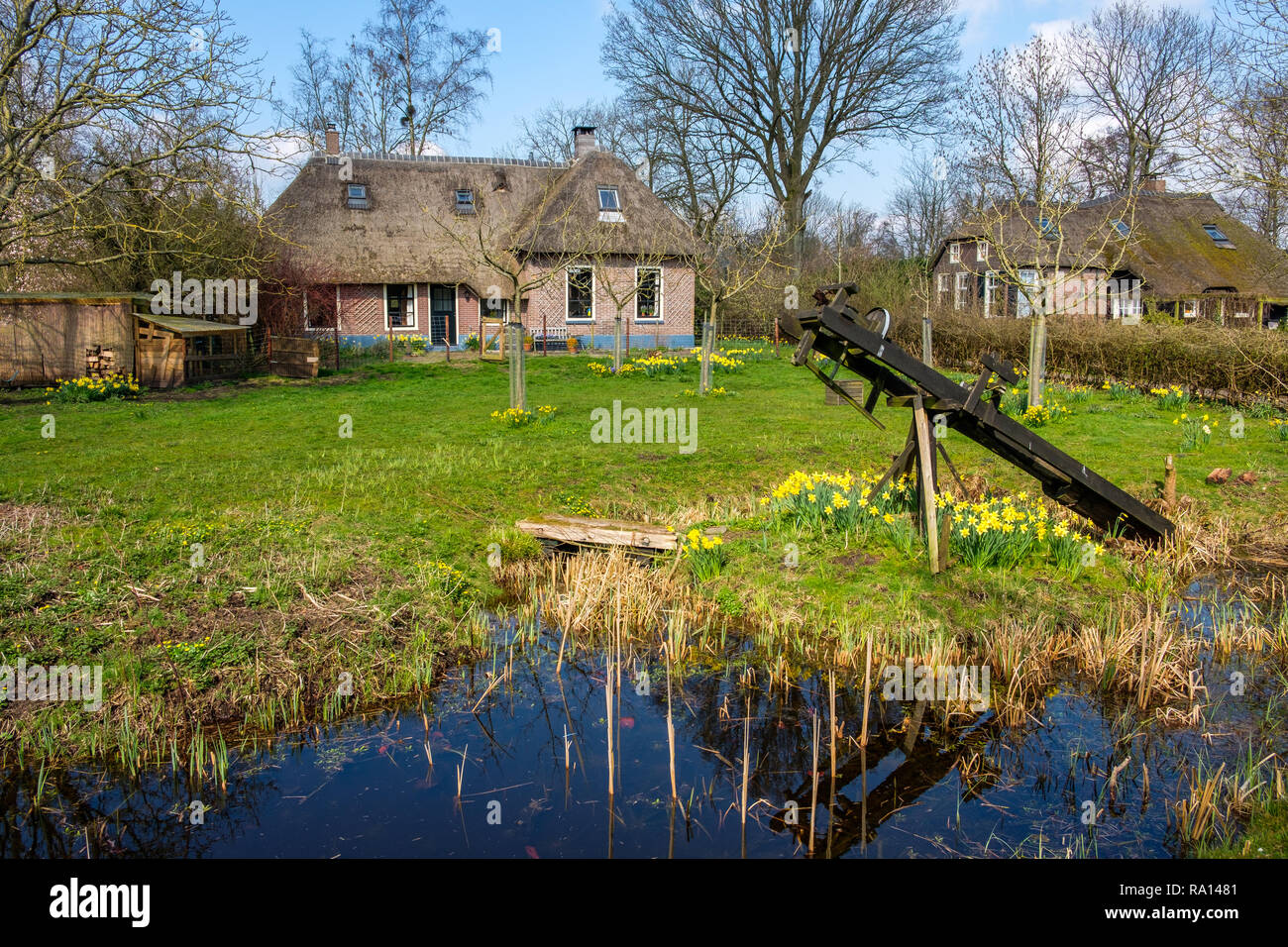 A comienzos de la primavera ver en Giethoorn, Holanda, un tradicional pueblo holandés con canales y rústicas casas de campo con techo de paja. Foto de stock