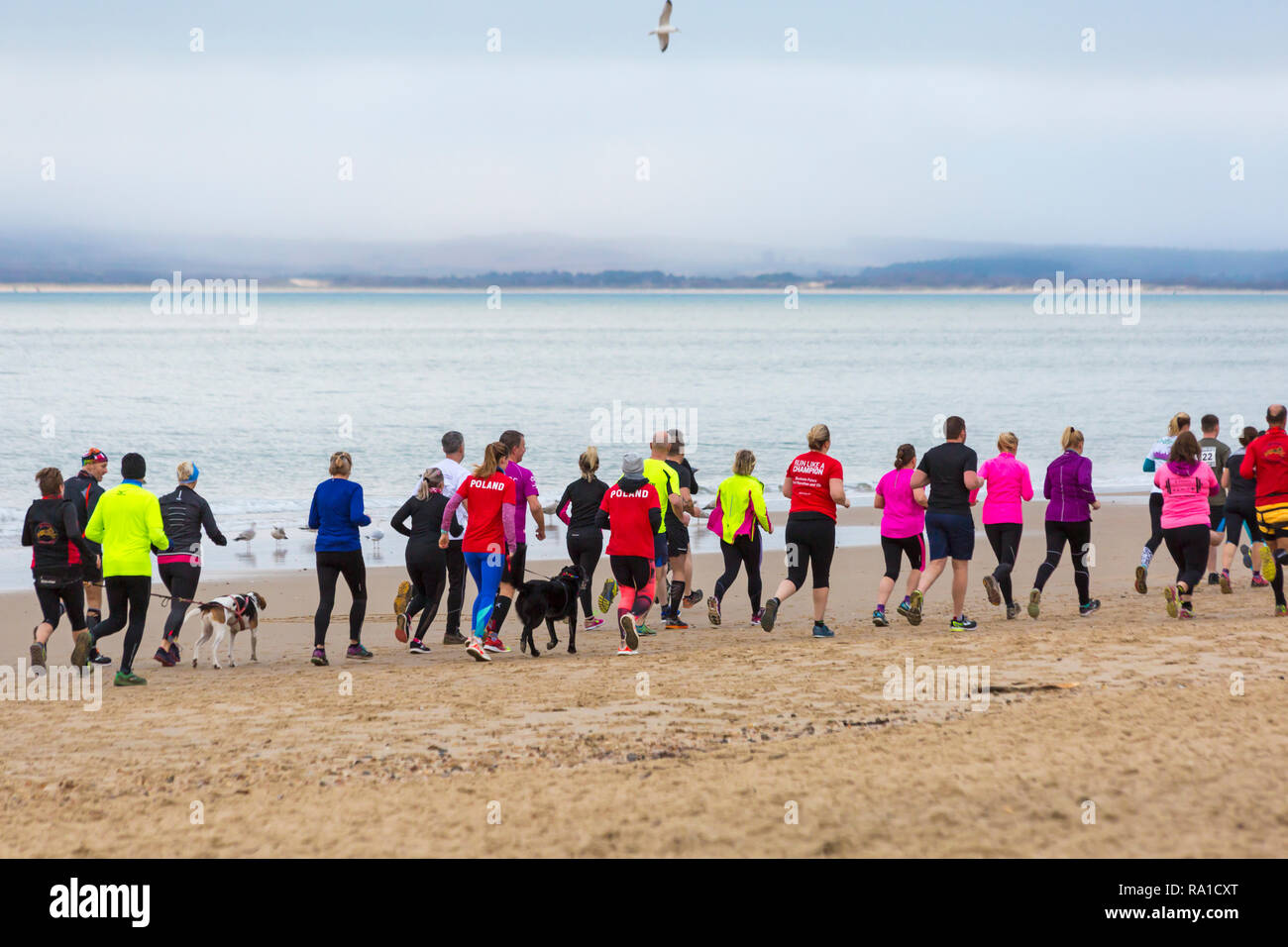 Bournemouth, Dorset, Reino Unido. El 30 de diciembre de 2018. Los participantes toman parte en la playa, la raza, la raza, la marea, una marea baja beach corren a lo largo de la hermosa costa de la playa de Bournemouth hacia bancos de arena de la playa. Los corredores ejecutar el 5k o 10k carrera a lo largo de la orilla del mar y a lo largo de los groynes ante la marea entra - buen ejercicio después de los excesos de la Navidad! Crédito: Carolyn Jenkins/Alamy Live News Foto de stock