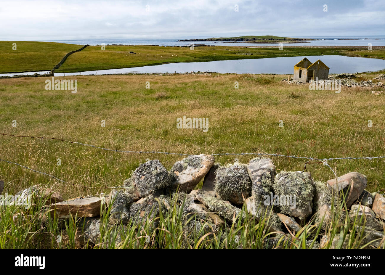 Una abandonada ruina del croft casa con vistas al océano Atlántico en las Islas Shetland de Escocia en un día nublado Foto de stock