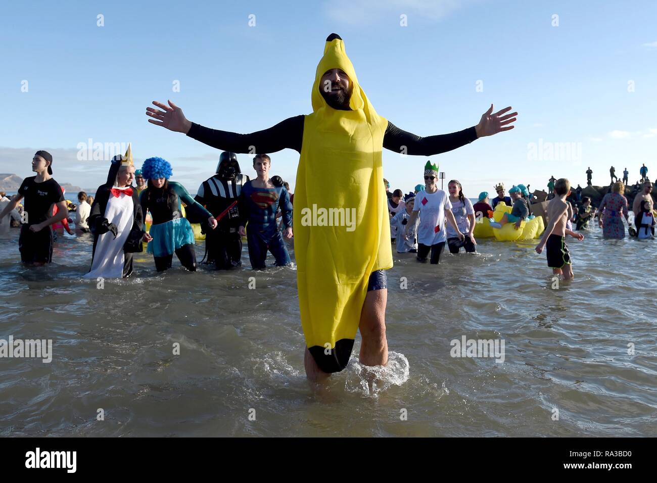 Lyme Regis, Dorset. 1 Ene 2019. Los plátanos de Lyme, lunge, nuevos años nadar, Lyme Regis, Dorset Crédito: Finnbarr Webster/Alamy Live News Foto de stock