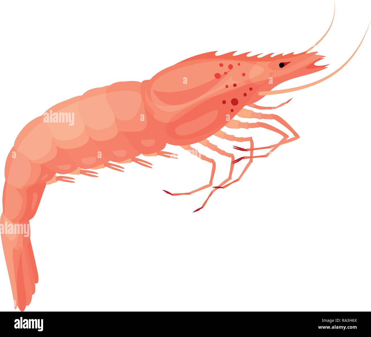 Camarones Caricatura