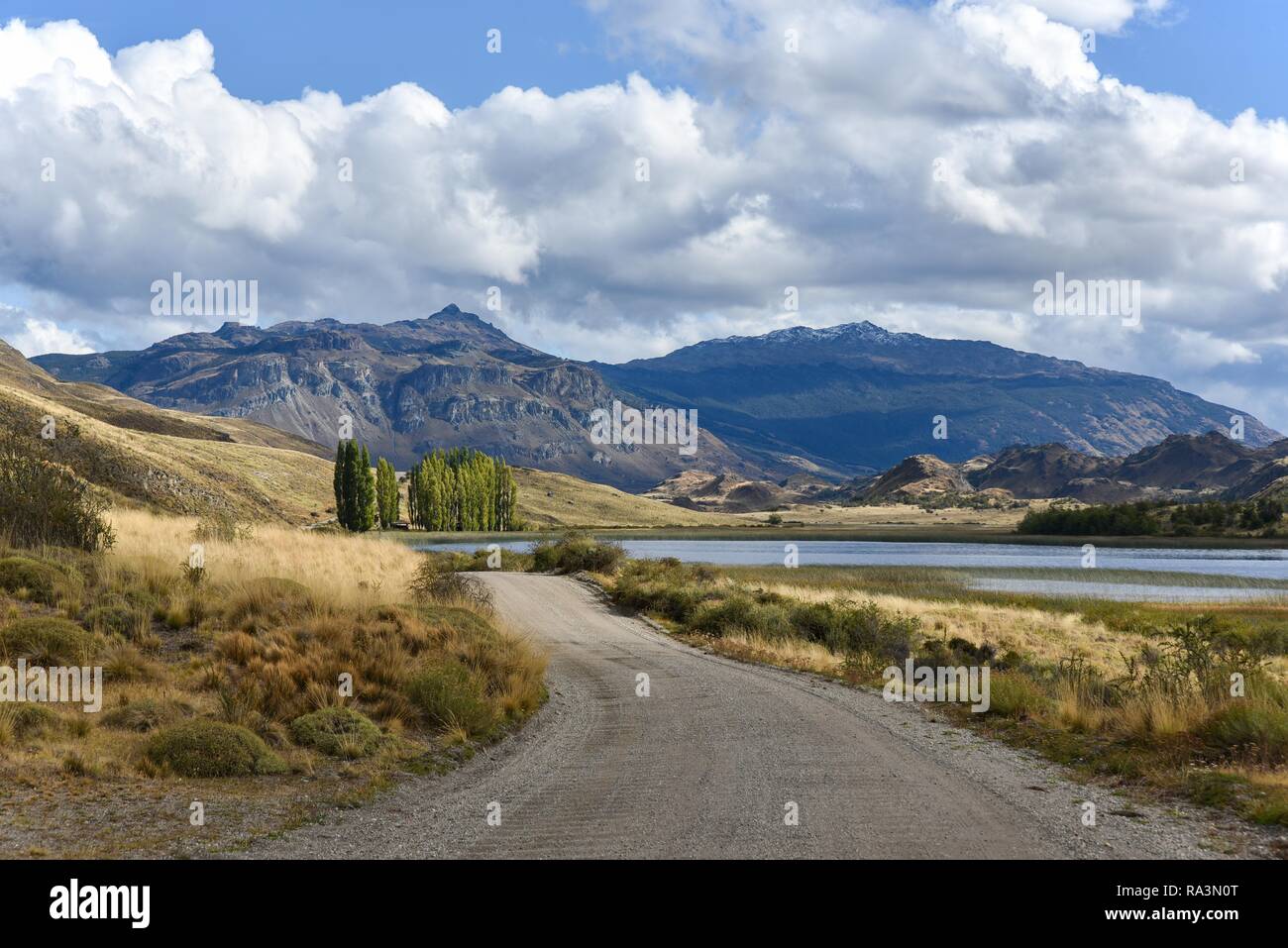 Carretera Austral, ruta CH7, autopista Panamericana, cerca de Cochrane, Reserva Nacional Tamango, región de Aysen, Patagonia, Chile Foto de stock