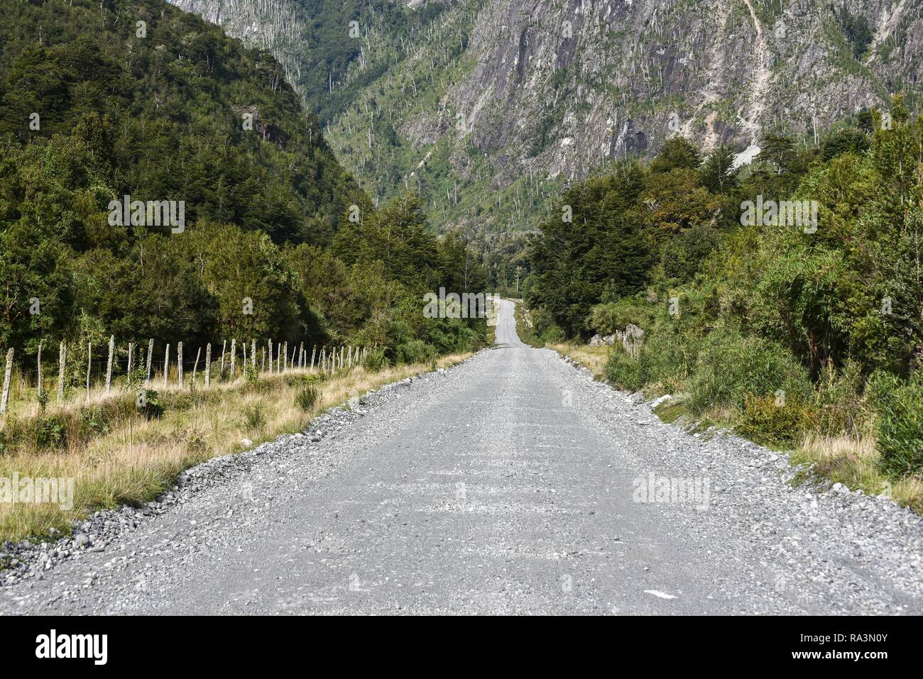 Hierro Corrugado vía Carretera Austral a través de bosques, cerca de Puerto Varas, Región de los Lagos, Chile Foto de stock