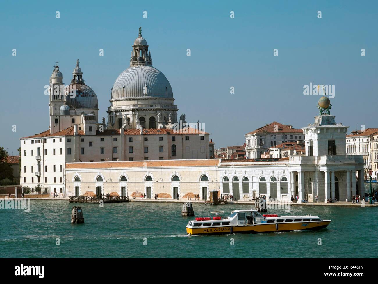 Iglesia de Santa Maria della Salute, Punta della Dogana, Venice, Venecia, Italia Foto de stock