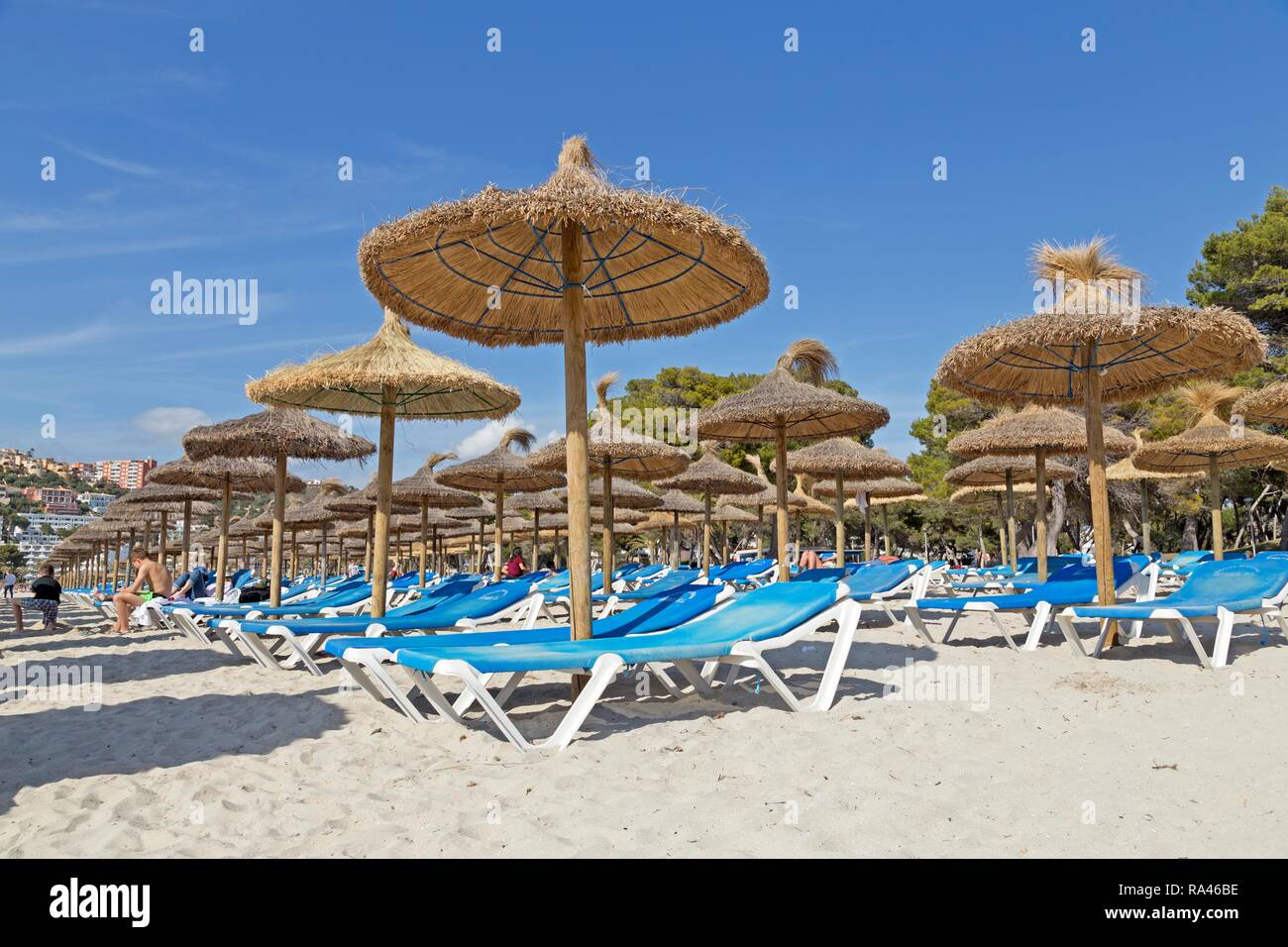 Playa con tumbonas y sombrillas, Santa Ponca, Mallorca, España Foto de stock