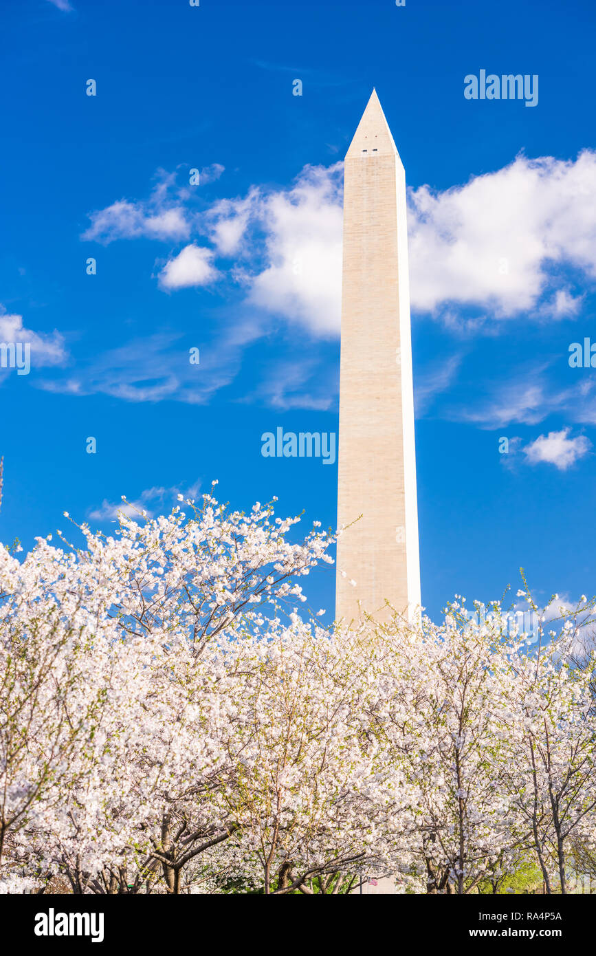 Washington, DC, Estados Unidos de América en la temporada de primavera con los cerezos en flor. Foto de stock