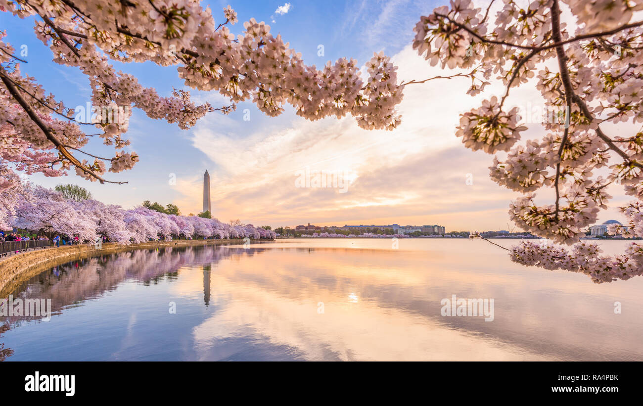 Washington, DC, Estados Unidos de América en la temporada de primavera en el tidal basin. Foto de stock