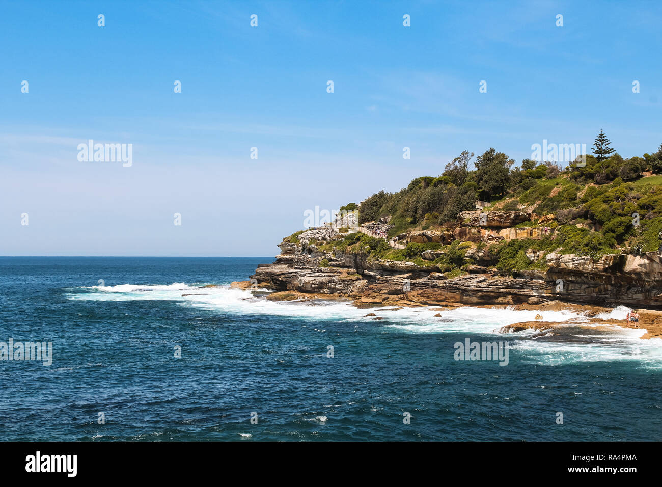 Acantilados en el paseo marítimo de Bondi Beach en Coogee Beach en Sydney en un perfecto día de verano azul (Sydney, New South Wales, Australia) Foto de stock
