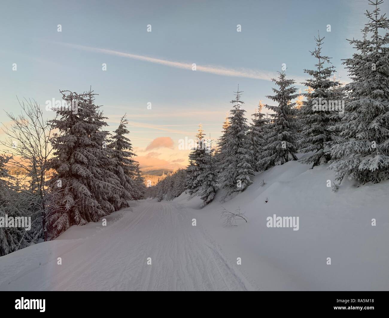 Fondo de invierno de abetos cubiertos de nieve en las montañas en la República Checa con el cielo azul Foto de stock