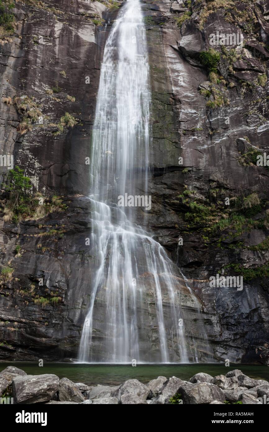 Cascada, Cascata Grande un Bignasco, distrito de Vallemaggia, Canton Ticino, Suiza Foto de stock