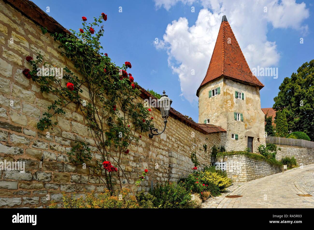 Muralla medieval con torre de defensa defensiva, Old Town, Greding, Middle Franconia, Franconia, Baviera, Alemania Foto de stock