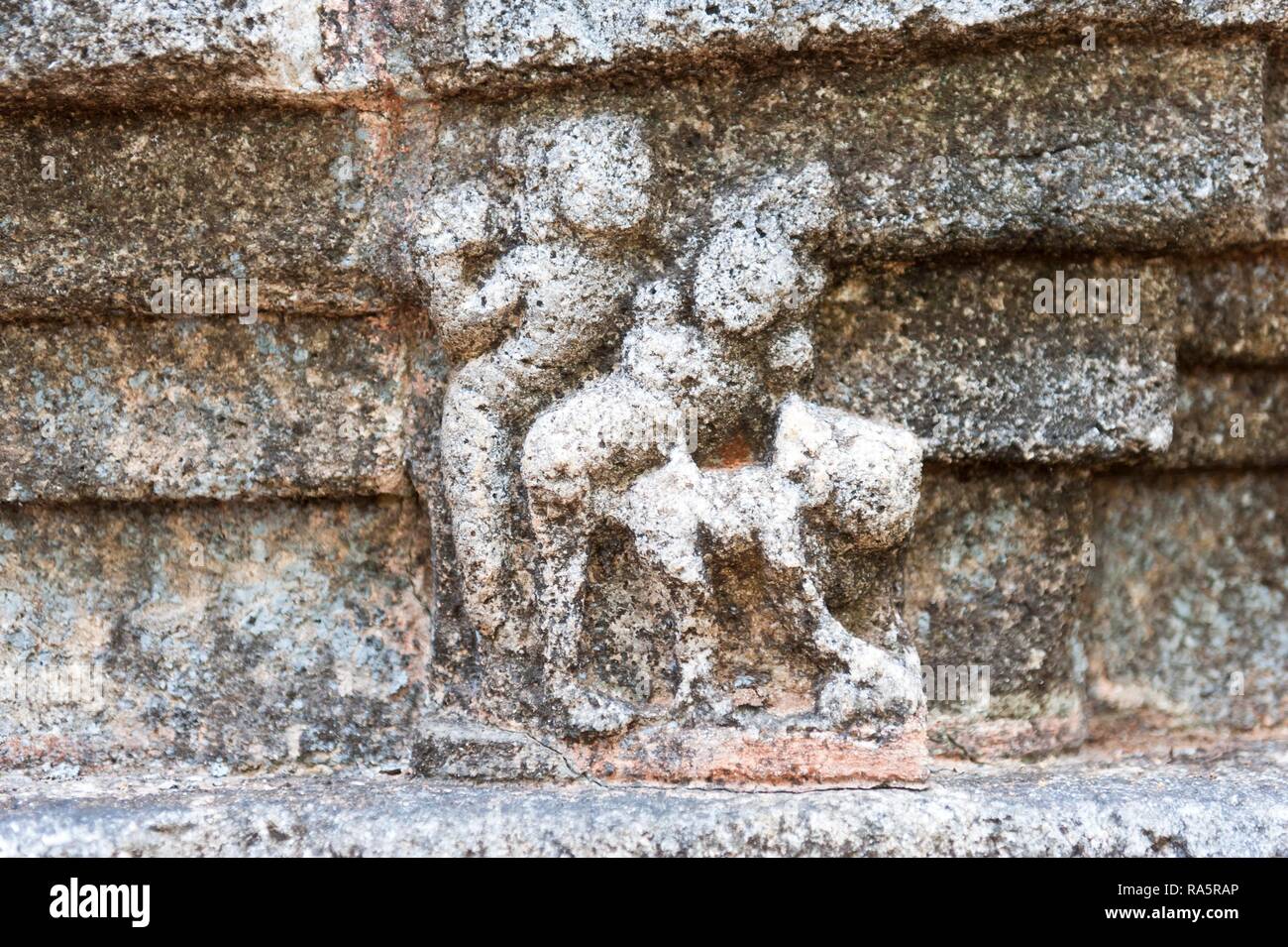 Alivio erótico, la pared exterior, templo Nalanda Gedige, cerca de Matale, provincia central, Sri Lanka Foto de stock