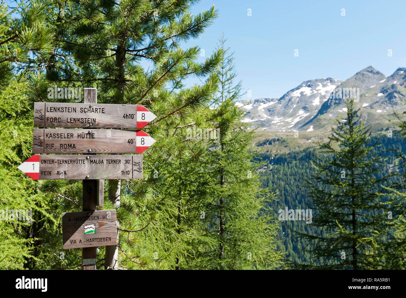 Hiking Trail con signpost, Arthur-Hartdegen-Weg, Via A.-Hartdegen, Reintal, Valle di Riva, Rein, cerca de arena en Taufers Foto de stock