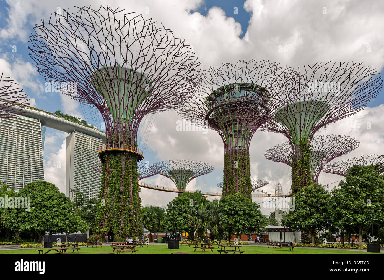 Supertree Grove en los jardines junto a la bahía - Singapur Foto de stock