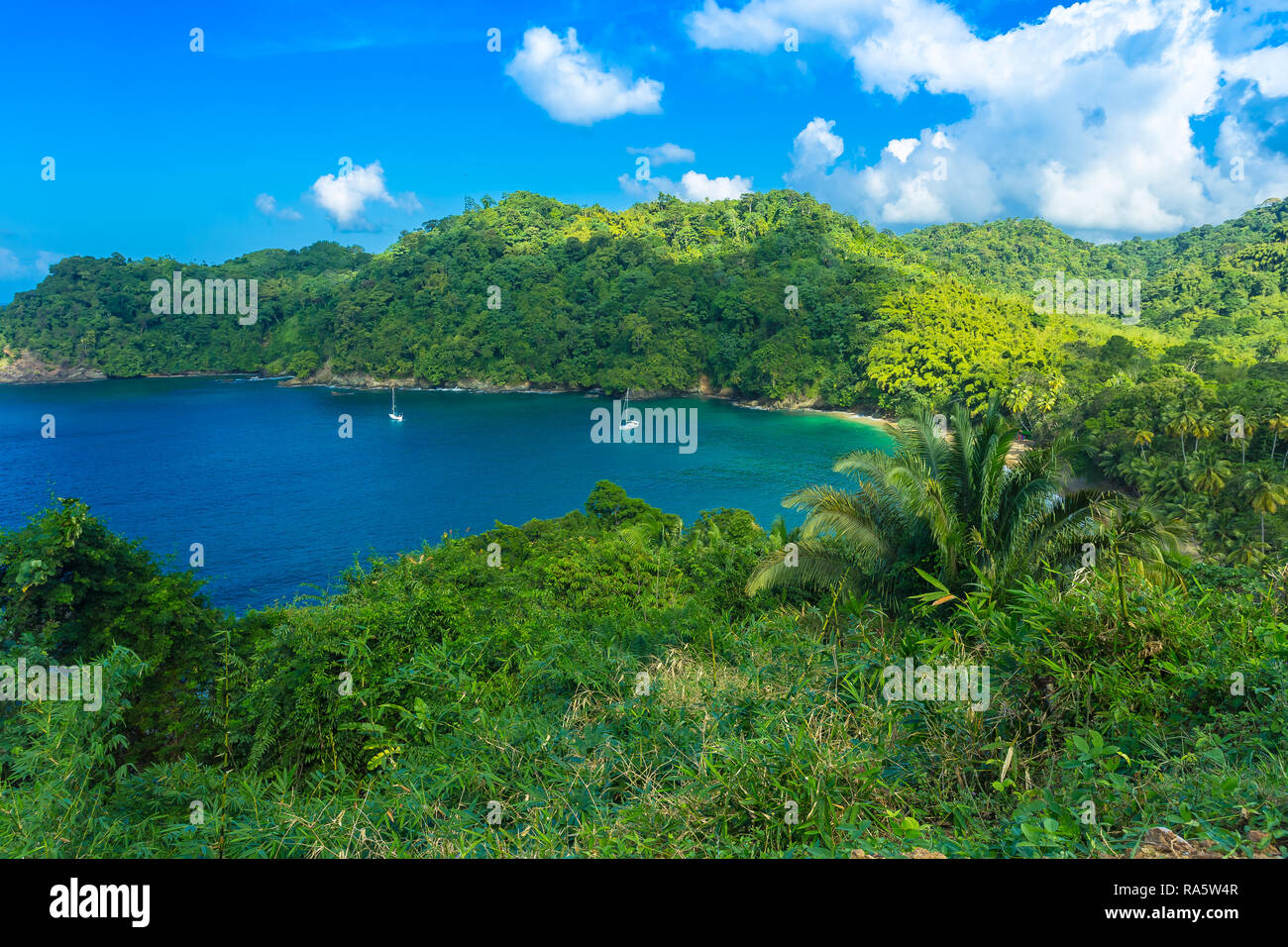 Inglés's Bay en la isla de Tobago tropical en el Caribe, West Indies. Cielos azules y el océano en esta apartada bahía, paisaje Foto de stock