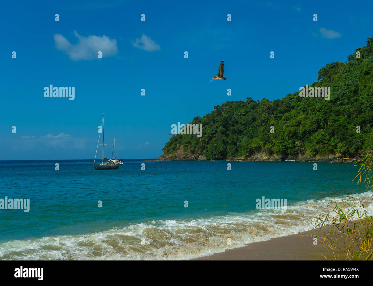 Inglés's Bay en la isla de Tobago tropical en el Caribe, West Indies con yate y flying pelican en esta apartada bahía, paisaje Foto de stock