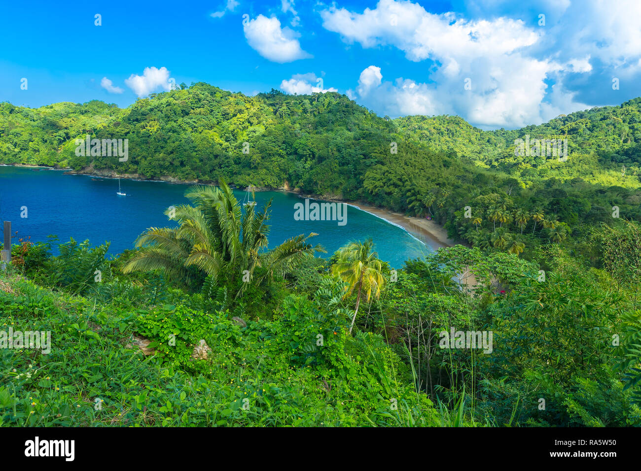 Inglés's Bay en la isla de Tobago tropical en el Caribe, West Indies. Cielos azules y el océano en esta apartada bahía, paisaje Foto de stock