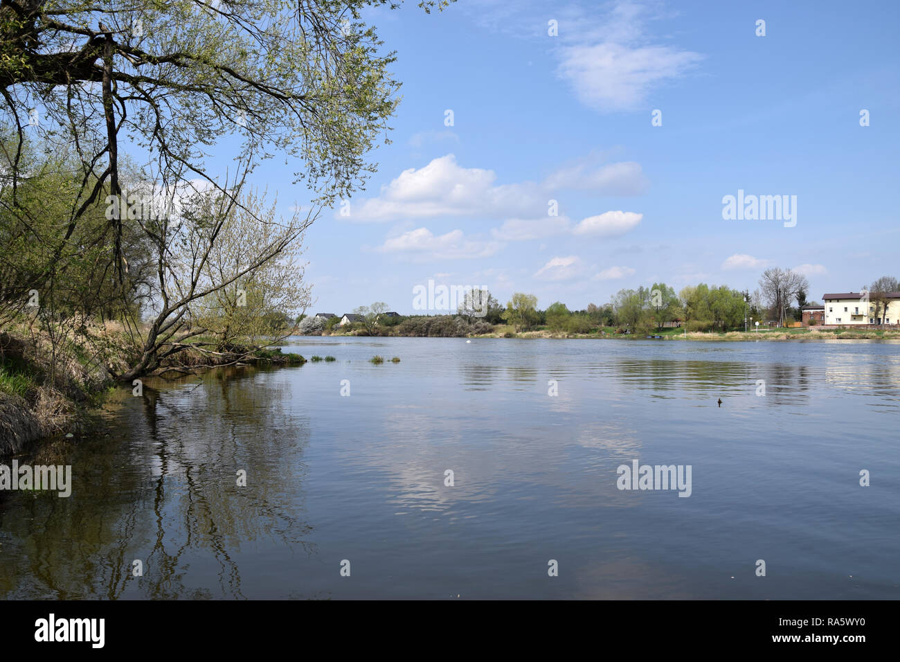 "Grady odrzanskie' - Odra río, cerca de la ciudad de Wroclaw. Zonas de protección de la naturaleza "Natura 2000". Dolnoslaskie, Polonia. Foto de stock