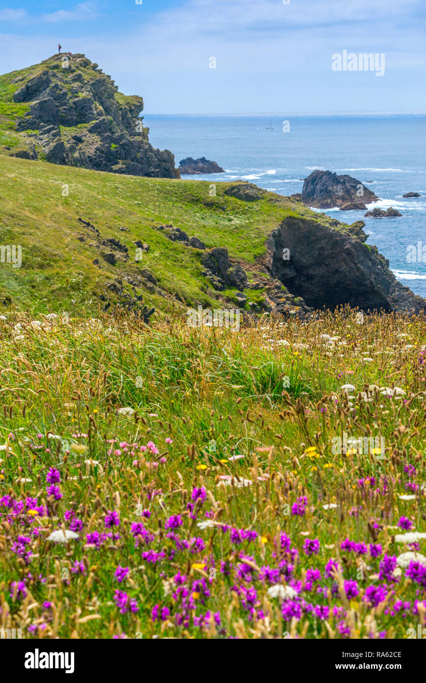Parte del paisaje rocoso que forma el área alrededor de la península de Lizard Point, en Cornualles, que la tierra más meridional de las Islas Británicas Foto de stock