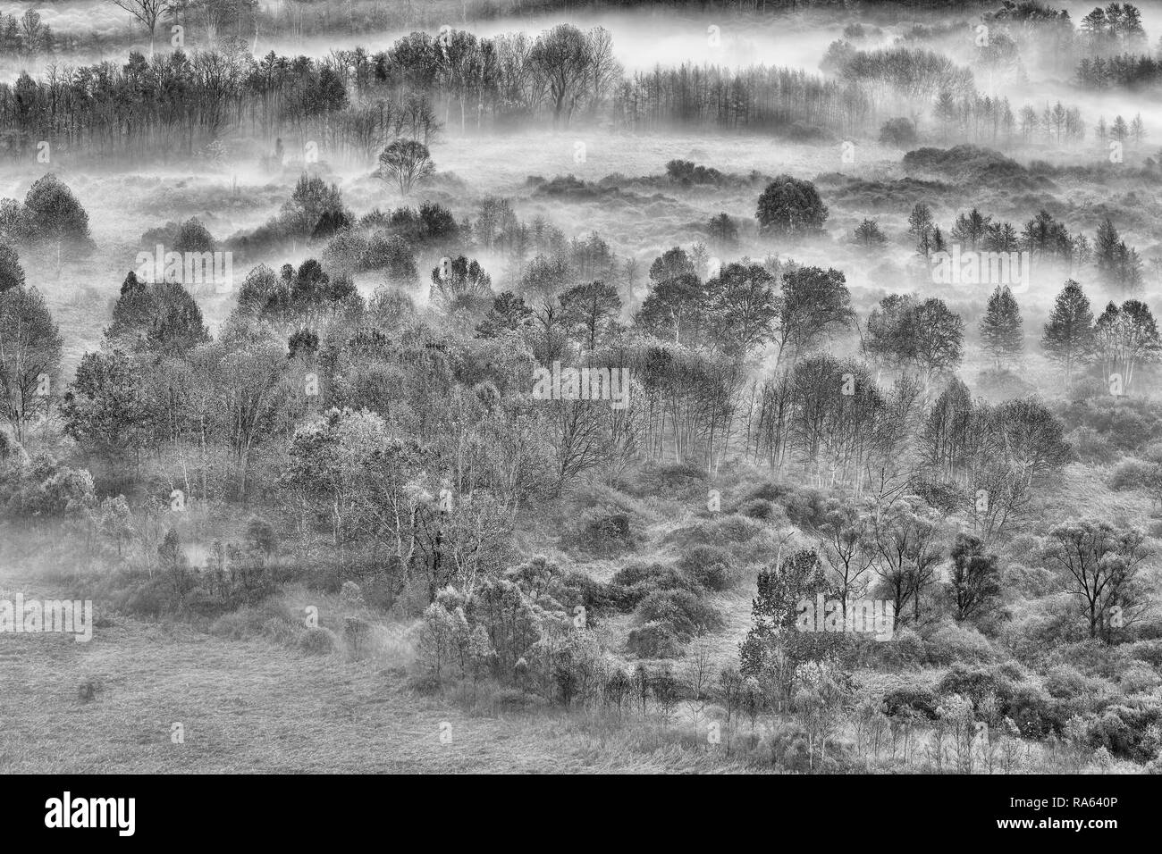 Paisaje neblinoso, fotografía en blanco y negro, Italia Foto de stock
